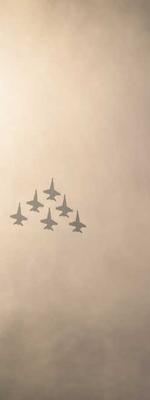 首页左侧漂浮广告